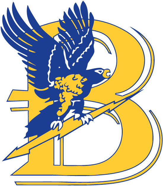 Bentley Falcons 1988-2012 Primary Logo vinyl decal